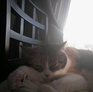 Meet your Posher, Caroline